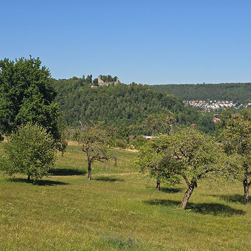 nfh-nagold-sein